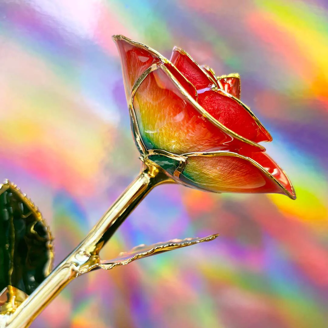 Rainbow 24kt Gold Dipped Rose - Image 2