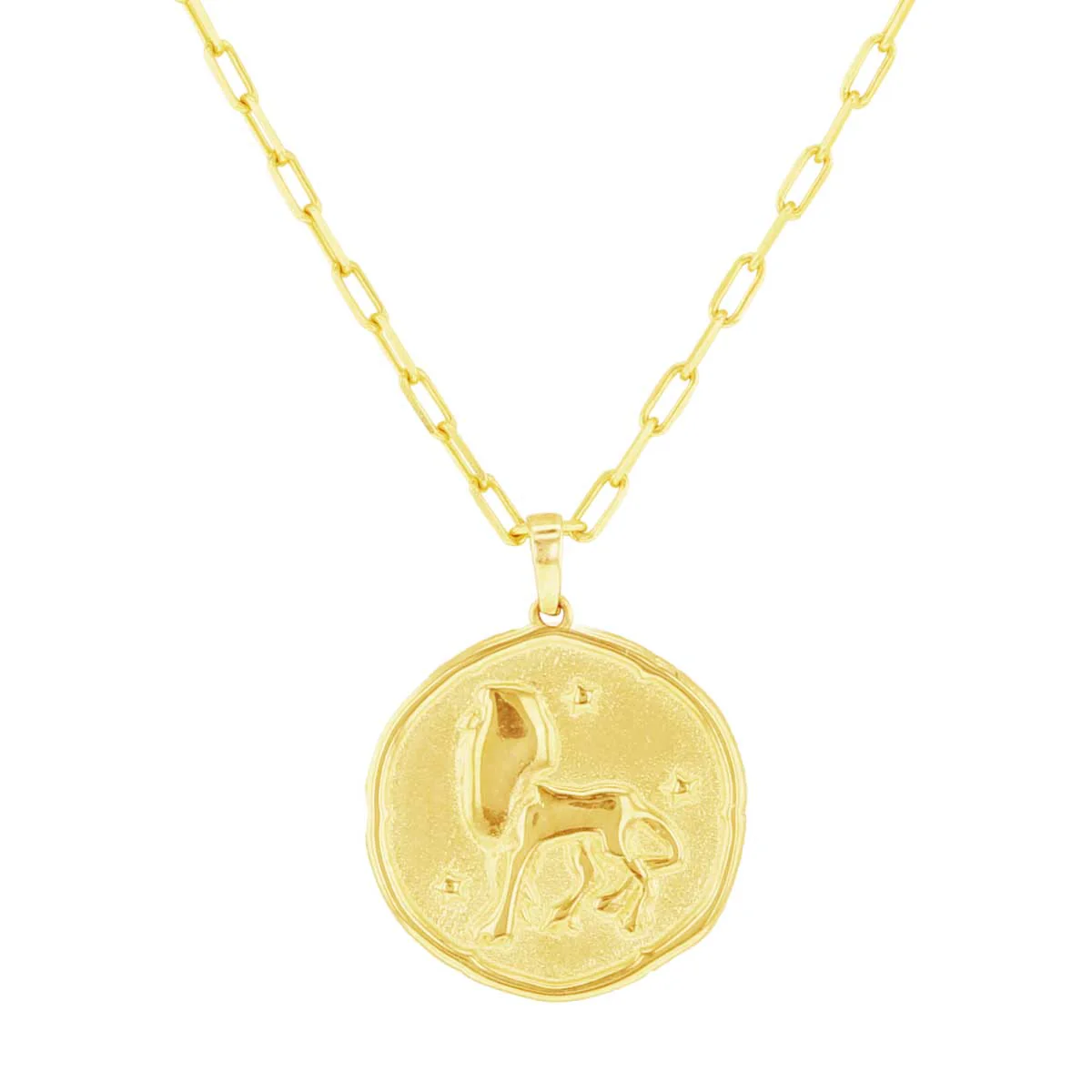 Written in the Stars Zodiac Gold Necklace - Image 12