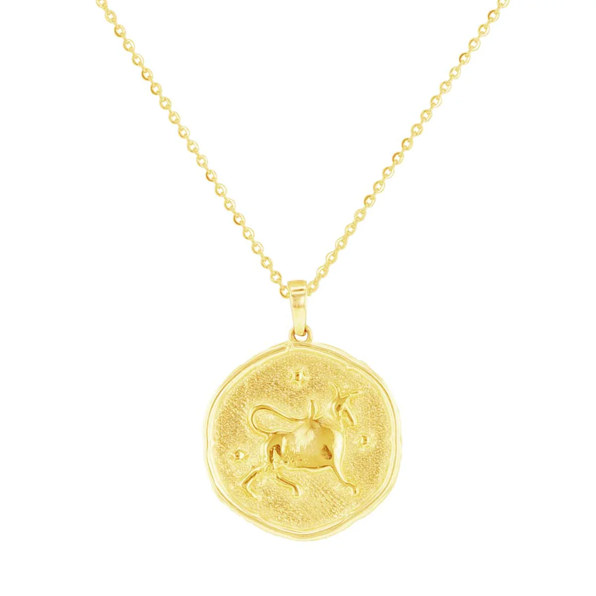 Written in the Stars Zodiac Gold Necklace - Image 17