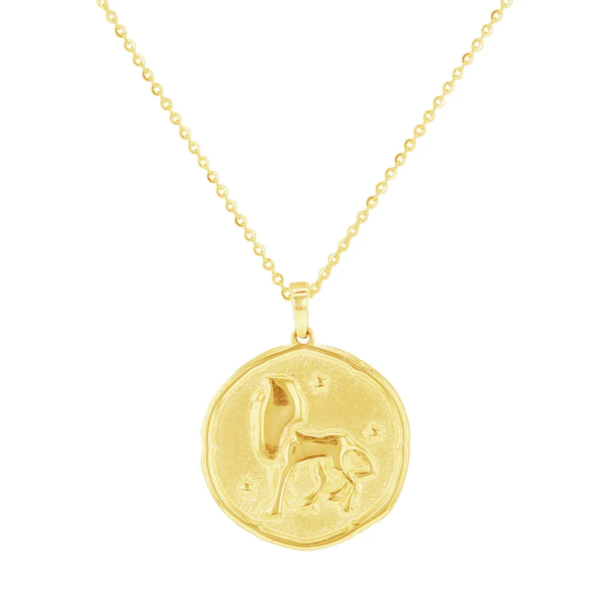 Written in the Stars Zodiac Gold Necklace - Image 20